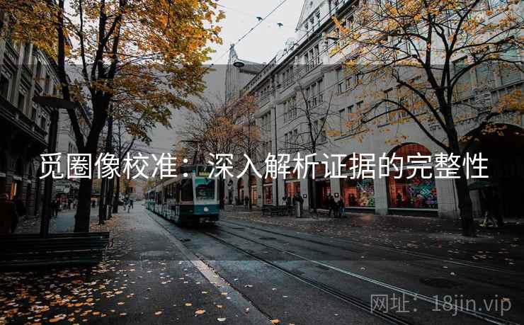 觅圈像校准:深入解析证据的完整性 觅圈像校准:深入解析证据的完整性